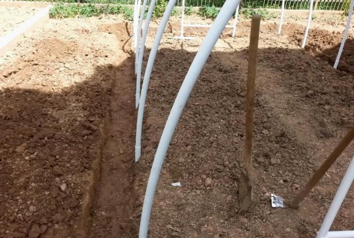 A simple greenhouse made of PVC pipes