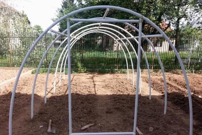 A simple greenhouse made of PVC pipes