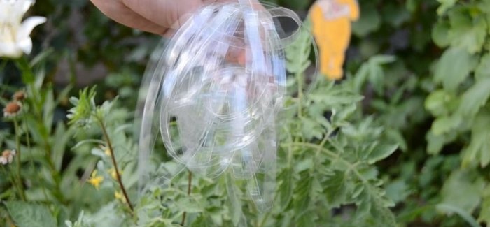 Device for cutting plastic bottles into strips