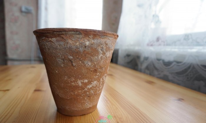 How to Renew a Clay Flower Pot