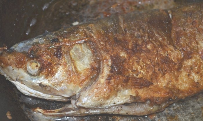 Whole seabass fried in a frying pan