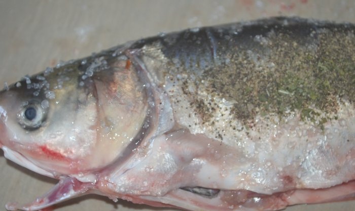 Whole seabass fried in a frying pan