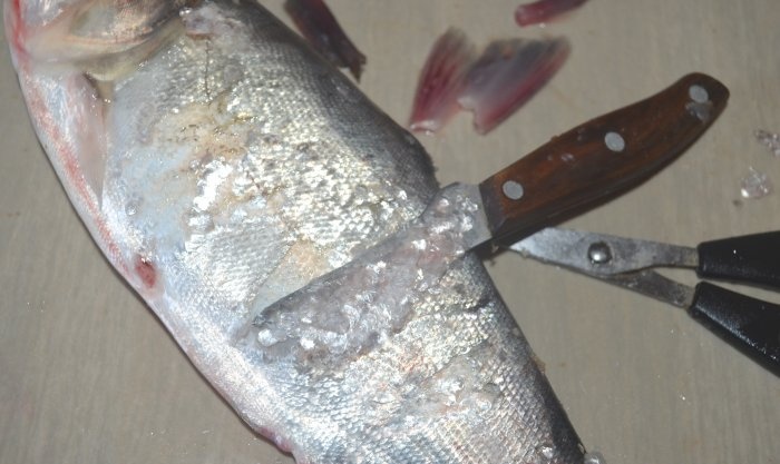 Whole seabass fried in a frying pan