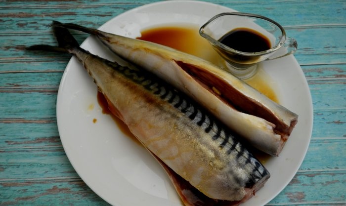 Mackerel on the grill