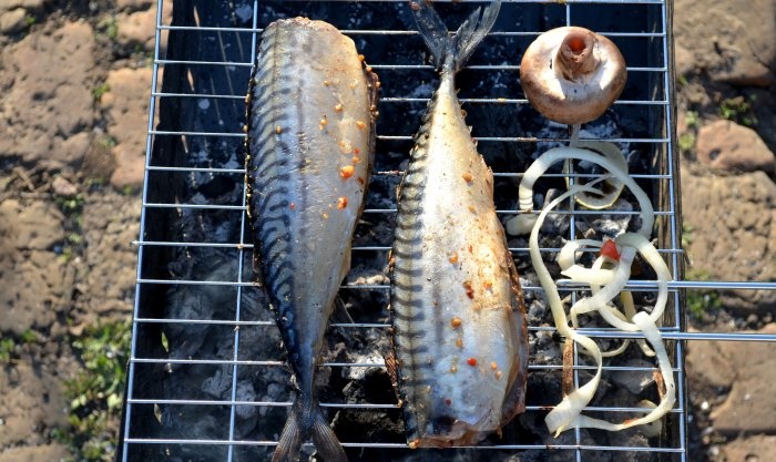 Mackerel on the grill