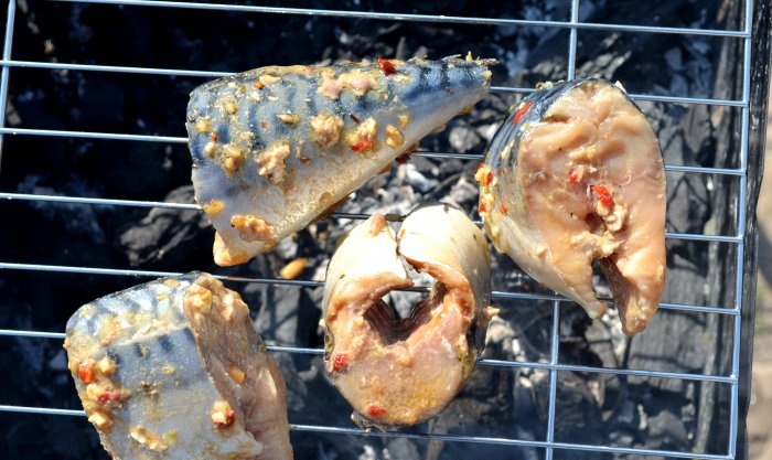 Mackerel pieces on the grill