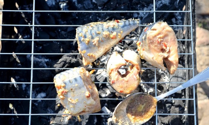 Mackerel pieces on the grill