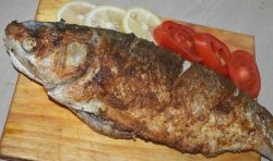 Whole seabass fried in a frying pan