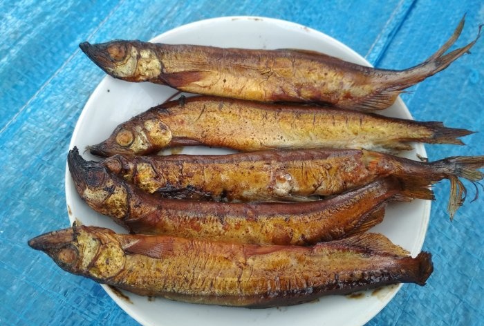 Smoking capelin at home