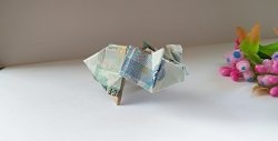 Pig from a banknote