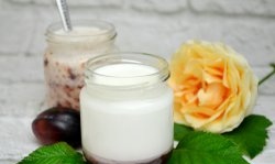 Homemade thermostatic yogurt