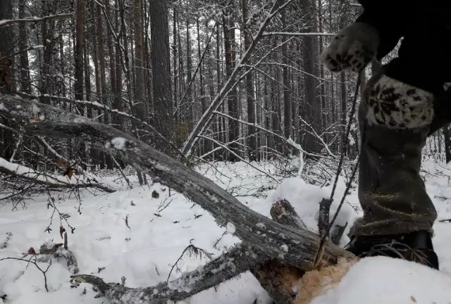 Pocket chain saw