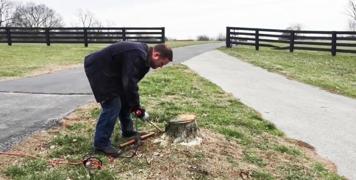 How to easily remove a stump without uprooting