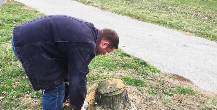 How to easily remove a stump without uprooting