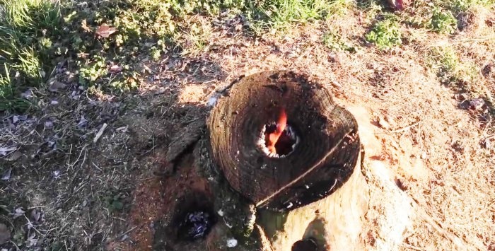 How to easily remove a stump without uprooting