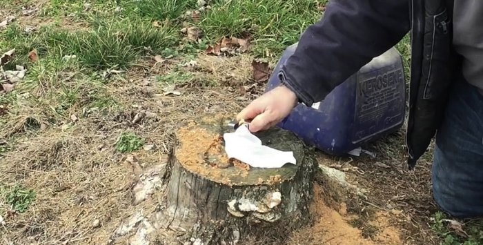 How to easily remove a stump without uprooting