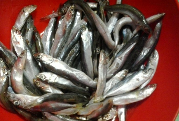 How to cook sprats at home