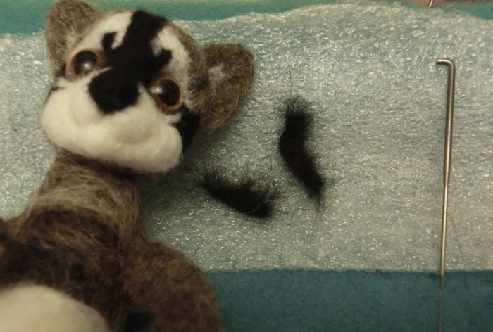 Felted raccoon wool