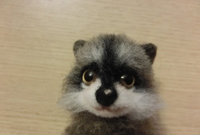 Felted raccoon wool