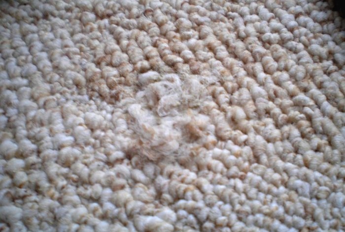 How to repair burnt carpet