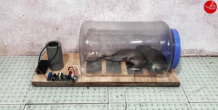 How to make a 12 volt electric trap for mice and rats