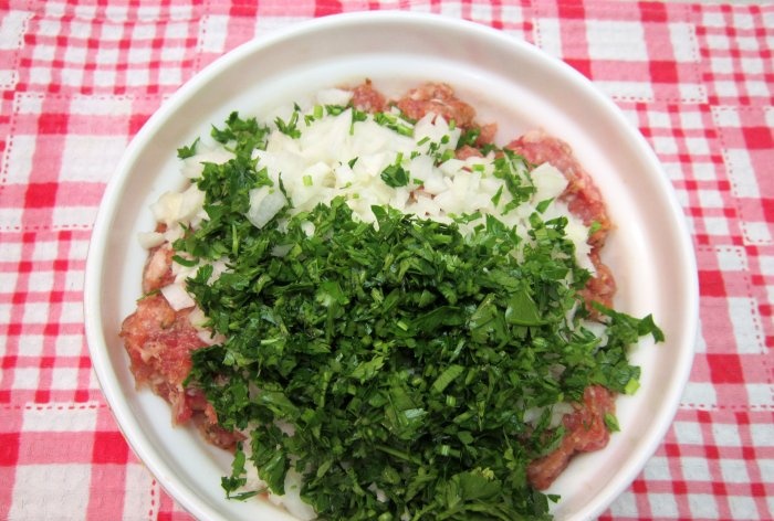 Pork kebab in a frying pan