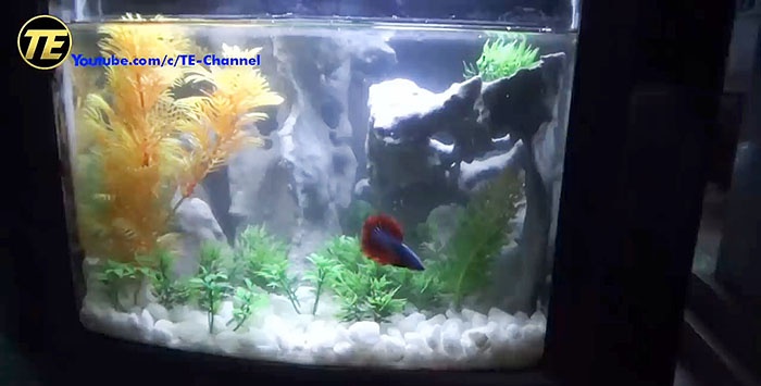 How to make an aquarium from an old TV