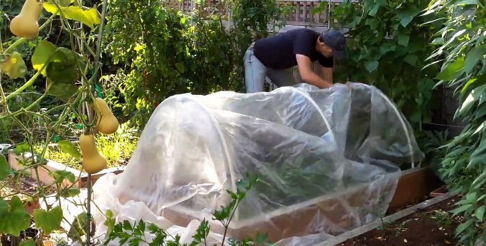 A simple greenhouse made of PVC pipes with your own hands