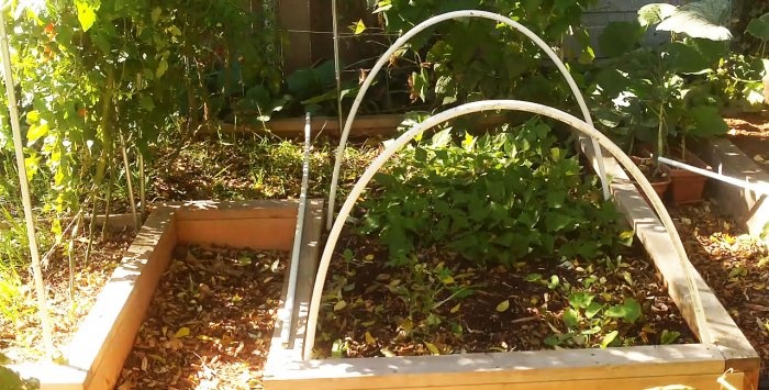 A simple greenhouse made of PVC pipes with your own hands