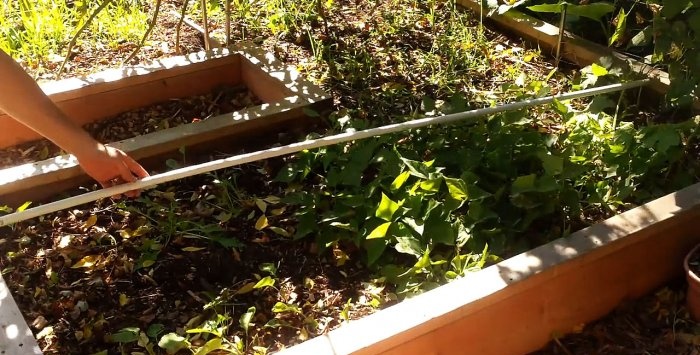 A simple greenhouse made of PVC pipes with your own hands