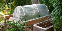 A simple greenhouse made of PVC pipes with your own hands