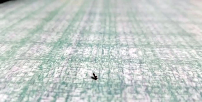 7 Effective Methods to Control Ants