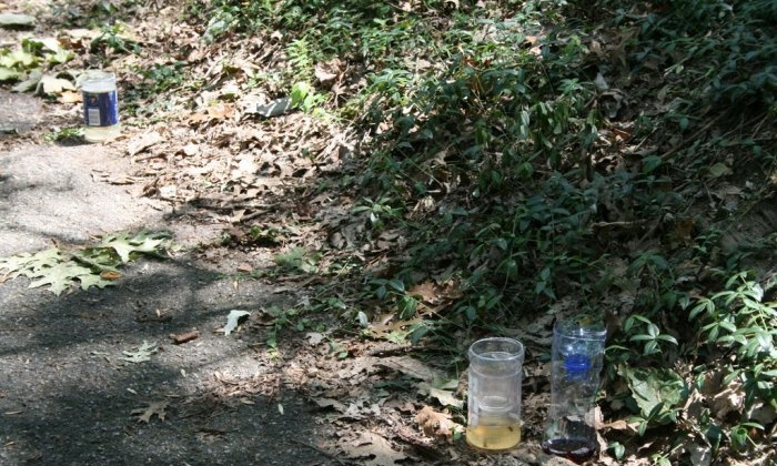 How to make an effective wasp trap from a plastic bottle