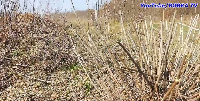 Как да превърнете резачката в ножица за жив плет полезна подвижна приставка