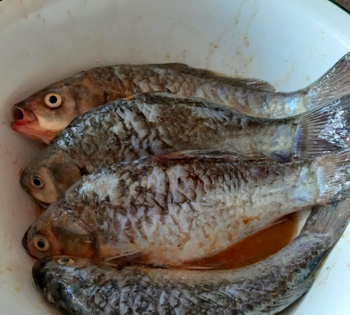 Cooking fish on a fire