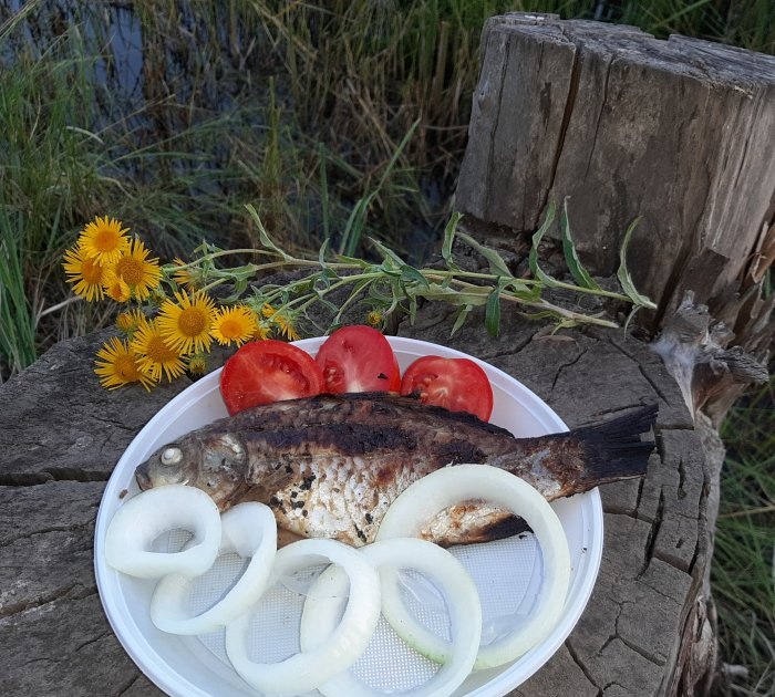 Cooking fish on a fire