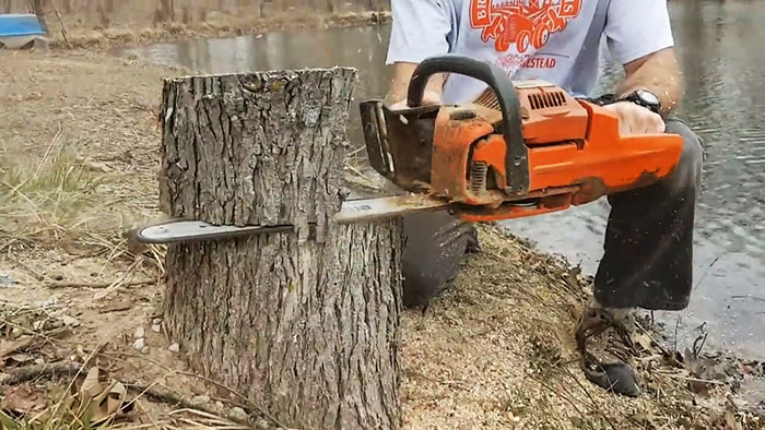 How to remove a tree stump cheaply and effectively