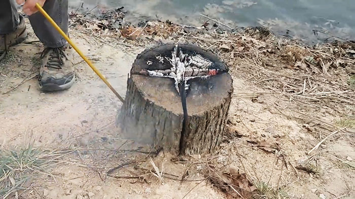 How to remove a tree stump cheaply and effectively