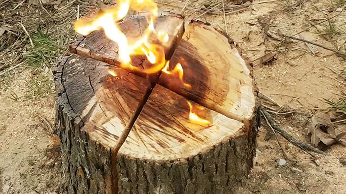 How to remove a tree stump cheaply and effectively