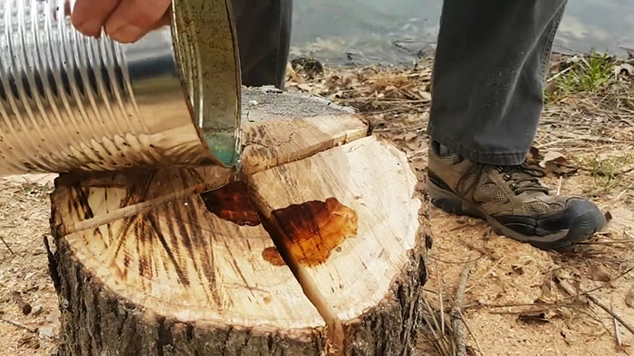 How to remove a tree stump cheaply and effectively