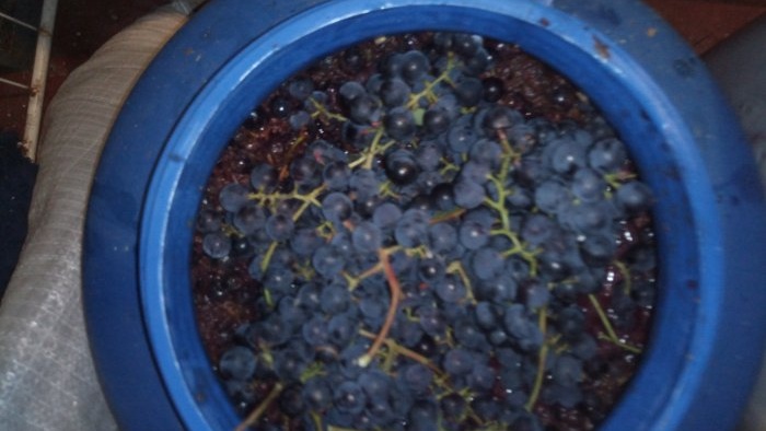 Making wine at home