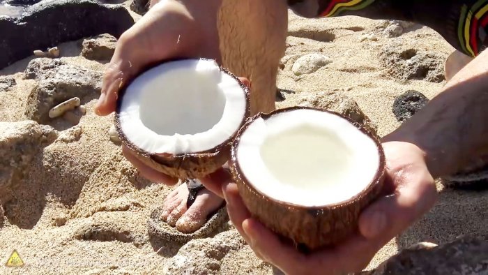 How to open a coconut without tools