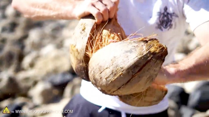 How to open a coconut without tools