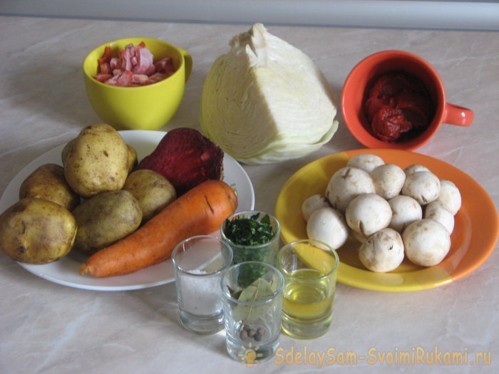 Quick, light and tasty borscht with mushrooms without frying