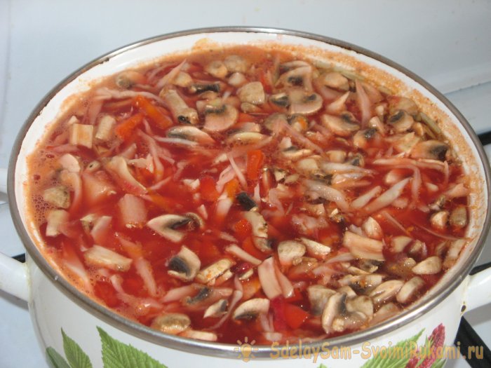 Quick, light and tasty borscht with mushrooms without frying