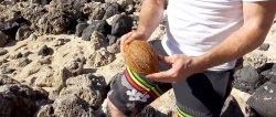 How to open a coconut without tools?