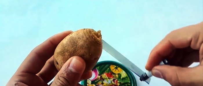 How to make a simple potato spiral slicer