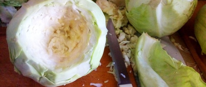 Pickled cabbage leaves for cabbage rolls