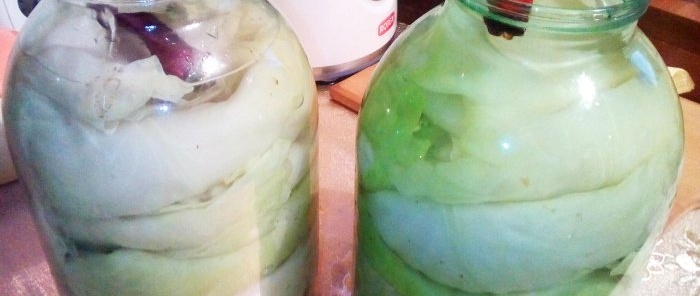 Pickled cabbage leaves for cabbage rolls