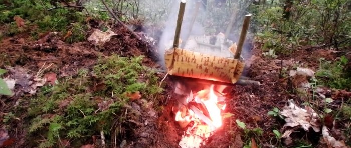 How to purify and disinfect water in the forest without a pot or flask